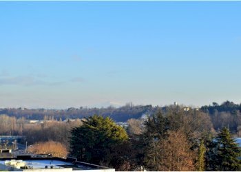 Edificio all\'aperto - Trilocale via IV novembre
 
533, Cavaria con Premezzo - foto 11