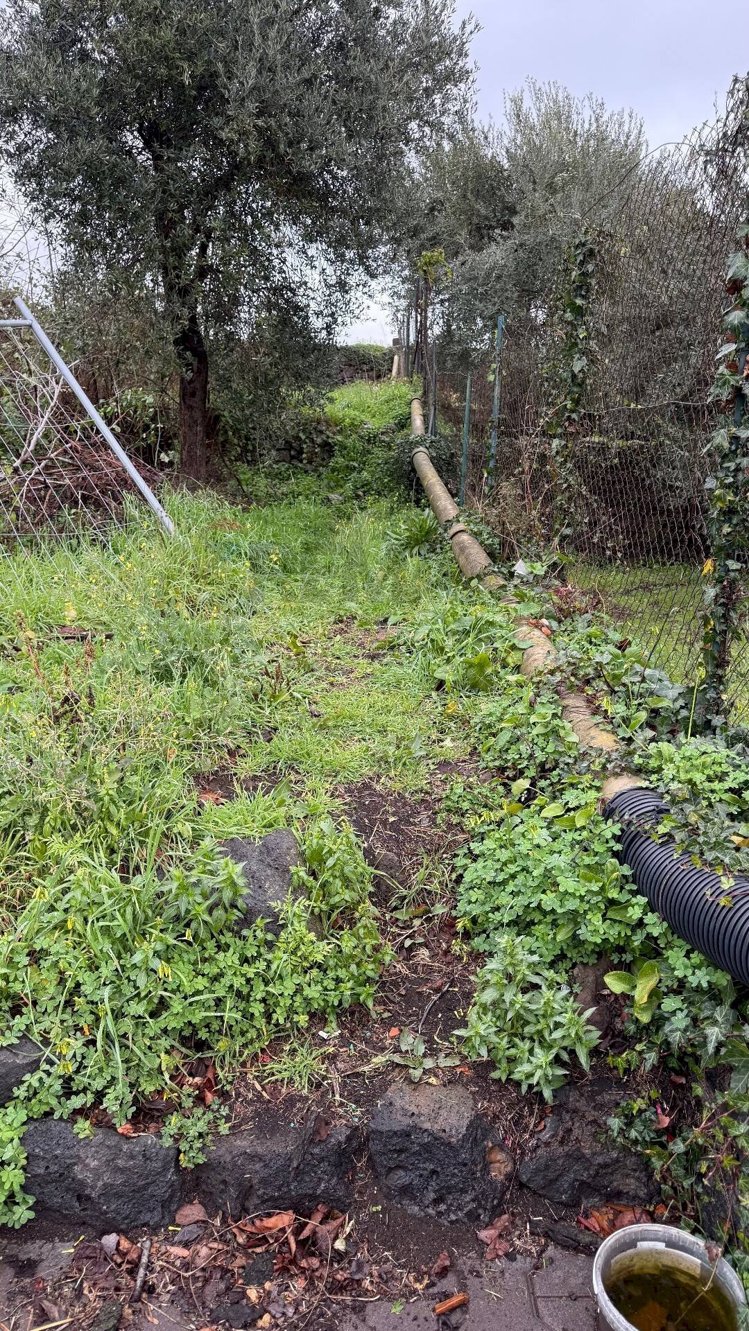 Giardino - Terreno agricolo Via Cimitero Santa Lucia
 
35, Aci Sant'Antonio - foto 1
