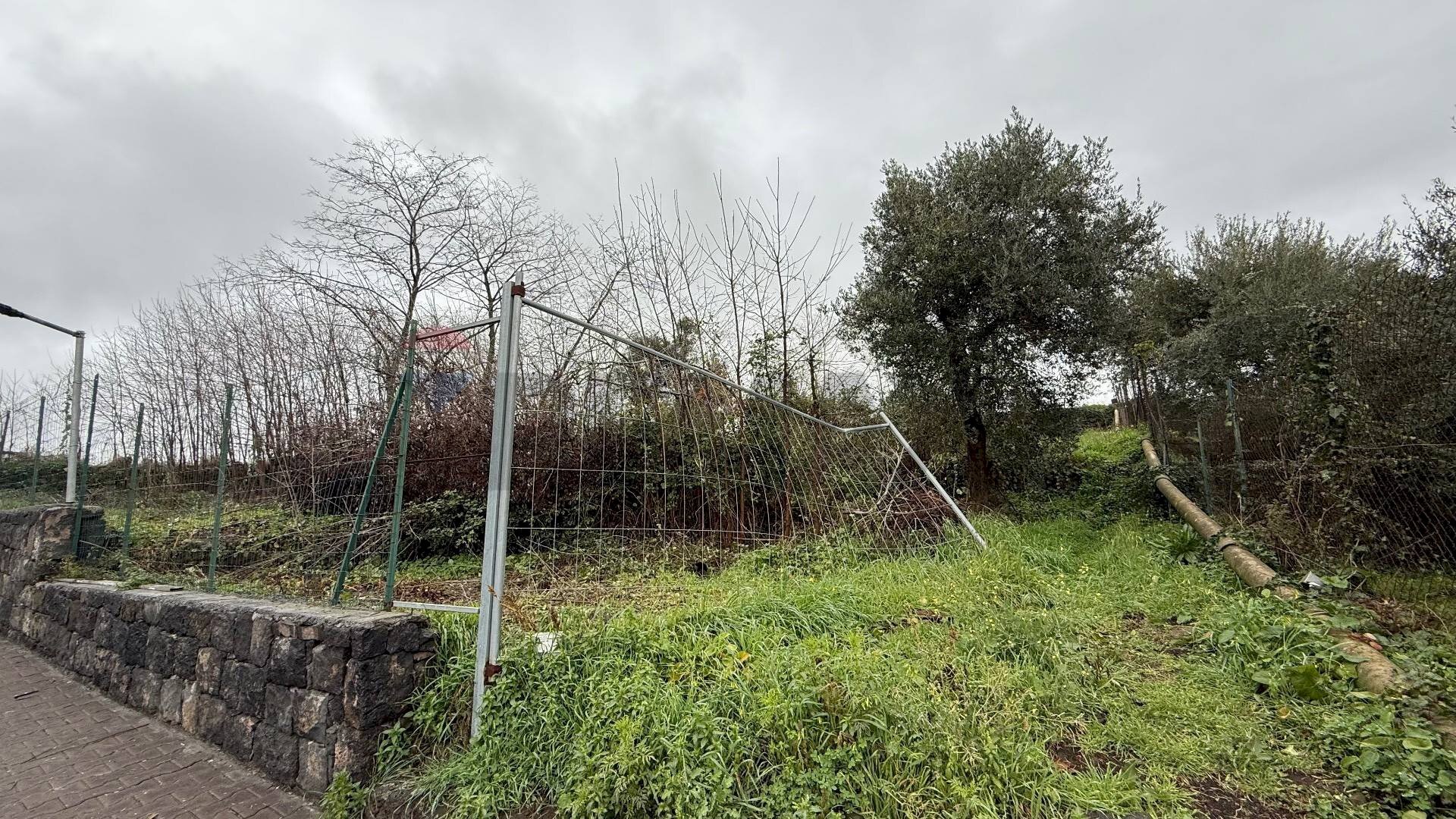 Giardino - Terreno agricolo Via Cimitero Santa Lucia
 
35, Aci Sant'Antonio - foto 2