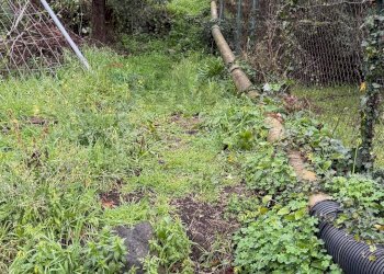 Giardino - Terreno agricolo Via Cimitero Santa Lucia
 
35, Aci Sant'Antonio - foto 1