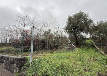 Giardino - Terreno agricolo Via Cimitero Santa Lucia
 
35, Aci Sant'Antonio - foto 2
