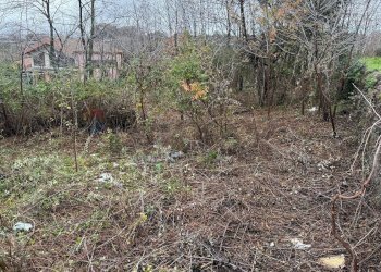 Giardino - Terreno agricolo Via Cimitero Santa Lucia
 
35, Aci Sant'Antonio - foto 4