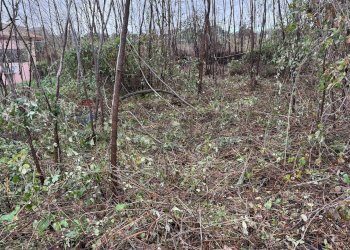 Giardino - Terreno agricolo Via Cimitero Santa Lucia
 
35, Aci Sant'Antonio - foto 5