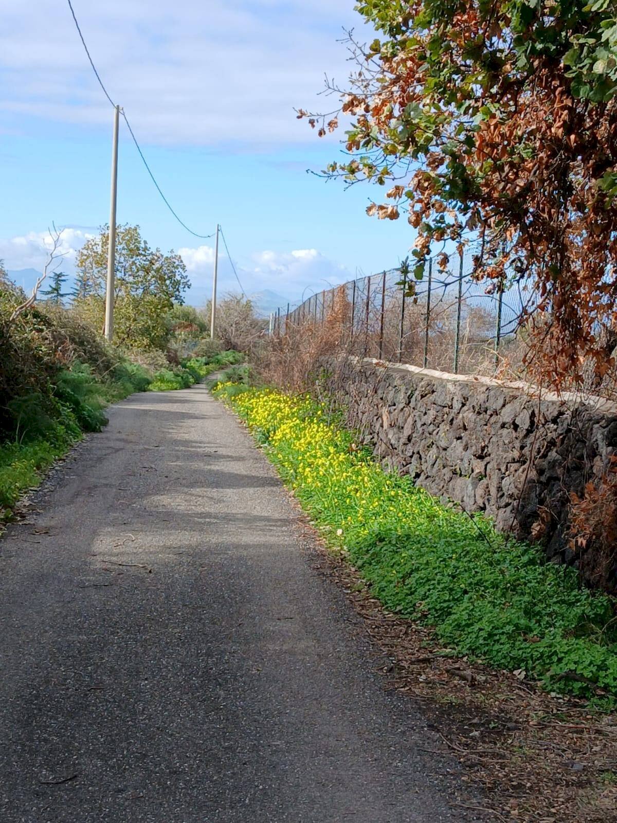 Vista delle montagne - Agricultural land Via Fratelli Cairoli (Palmintelli)
snc, Belpasso - photo 2