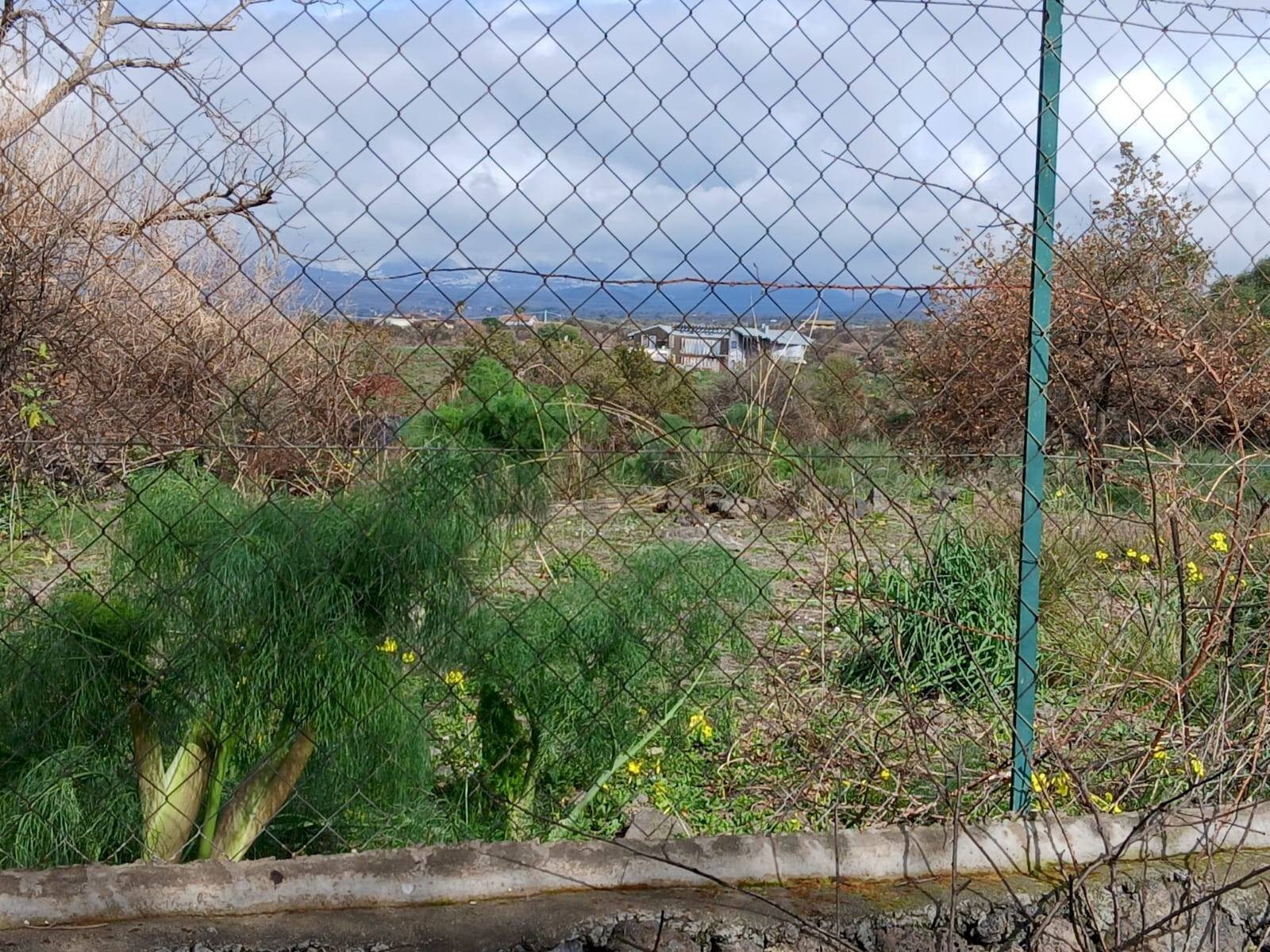 Giardino - Agricultural land Via Fratelli Cairoli (Palmintelli)
snc, Belpasso - photo 3