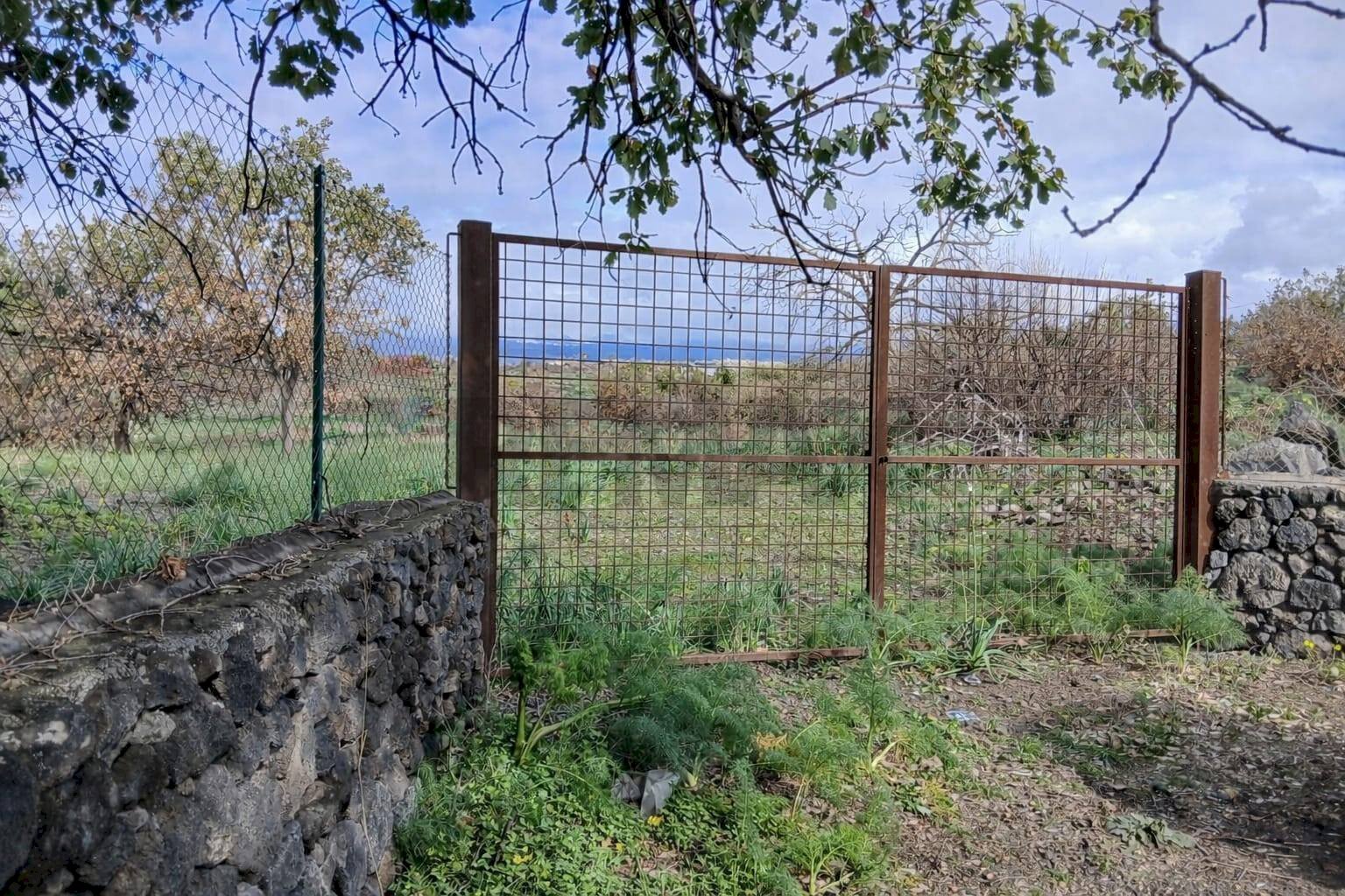 Giardino - Agricultural land Via Fratelli Cairoli (Palmintelli)
 
snc, Belpasso - photo 1