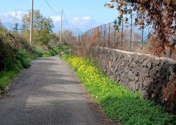 Vista delle montagne - Agricultural land Via Fratelli Cairoli (Palmintelli)
snc, Belpasso - photo 2