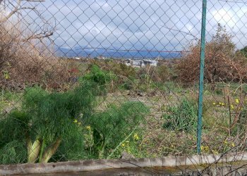 Giardino - Agricultural land Via Fratelli Cairoli (Palmintelli)
snc, Belpasso - photo 3