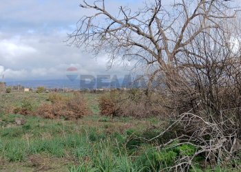 Vista delle montagne - Agricultural land Via Fratelli Cairoli (Palmintelli)
snc, Belpasso - photo 4