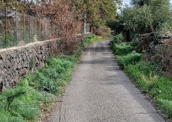 Giardino - Agricultural land Via Fratelli Cairoli (Palmintelli)
snc, Belpasso - photo 5