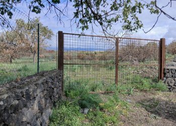 Giardino - Agricultural land Via Fratelli Cairoli (Palmintelli)
snc, Belpasso - photo 1