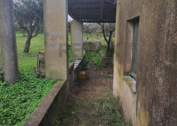 Giardino - Villa contrada malcristiano
 
snc, Piazza Armerina - foto 1