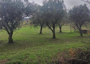 Giardino - Villa contrada malcristiano
 
snc, Piazza Armerina - foto 6