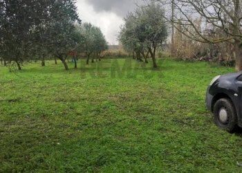 Giardino - Villa contrada malcristiano
 
snc, Piazza Armerina - foto 7