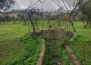 Giardino - Villa contrada malcristiano
 
snc, Piazza Armerina - foto 11