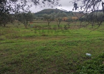 Vista delle montagne - Villa contrada malcristiano
 
snc, Piazza Armerina - foto 12