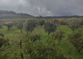 Vista delle montagne - Villa contrada malcristiano
 
snc, Piazza Armerina - foto 16