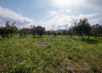 Giardino - Villa contrada malcristiano
 
snc, Piazza Armerina - foto 6