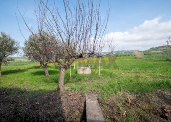 Giardino - Villa contrada malcristiano
 
snc, Piazza Armerina - foto 10