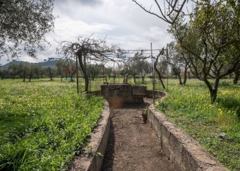 Giardino - Villa contrada malcristiano
 
snc, Piazza Armerina - foto 14
