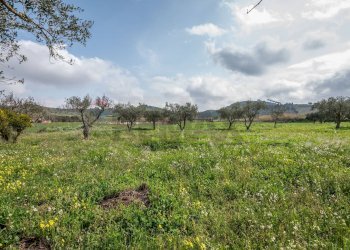 Giardino - Villa contrada malcristiano
 
snc, Piazza Armerina - foto 19