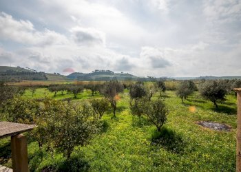 Vista delle montagne - Villa contrada malcristiano
 
snc, Piazza Armerina - foto 25