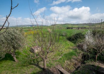 Vista delle montagne - Villa contrada malcristiano
 
snc, Piazza Armerina - foto 40