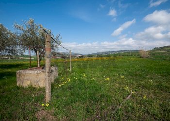 Giardino - Villa contrada malcristiano
 
snc, Piazza Armerina - foto 41