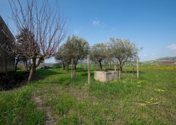 Giardino - Villa contrada malcristiano
 
snc, Piazza Armerina - foto 42