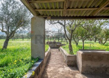 Giardino - Villa contrada malcristiano
 
snc, Piazza Armerina - foto 45