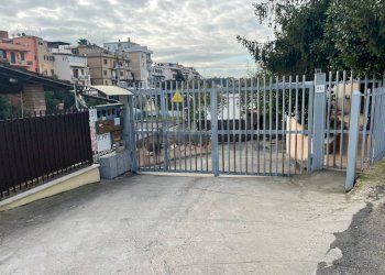 Terrazza - Magazzino via cesare lombroso
 
81, Roma - foto 8