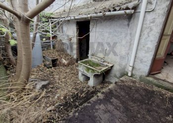 Giardino - Casa indipendente Via Quinta Traversa
 
1, Belpasso - foto 6