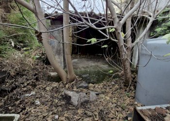 Giardino - Casa indipendente Via Quinta Traversa
 
1, Belpasso - foto 8