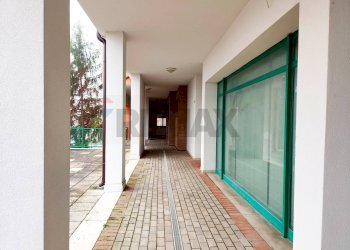 Terrazza - Ufficio Ferrara - foto 3