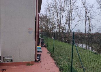 Giardino - Casa semi indipendente Ferrara - foto 19