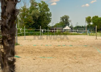 Giardino - Locale Commerciale Polesella - foto 19