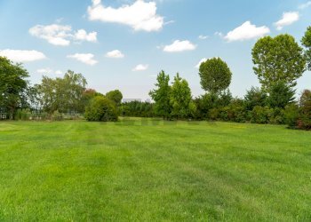 Giardino - Locale Commerciale Polesella - foto 21