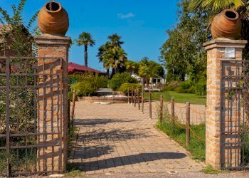 Giardino - Locale Commerciale Polesella - foto 77