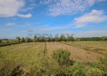 Giardino - Appartamento Via Roma
 
145, Meolo - foto 14