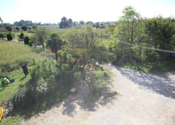 Giardino comune - Appartamento Via Roma
 
145, Meolo - foto 15