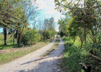 Strada di accesso - Appartamento Via Roma
 
145, Meolo - foto 19