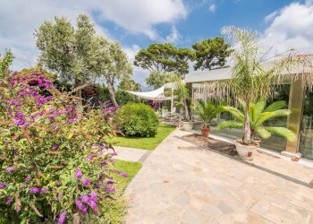 Giardino - Locale Commerciale Sorrento - foto 7