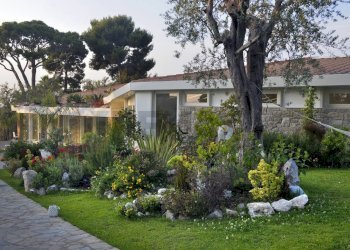 Giardino - Locale Commerciale Sorrento - foto 12