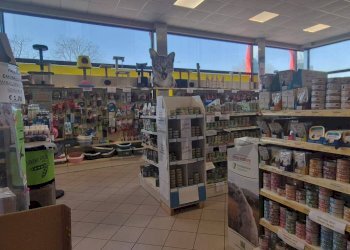 Dispensa di stoccaggio - Capannone VIA MODENA
 
267/E, Ferrara - foto 8