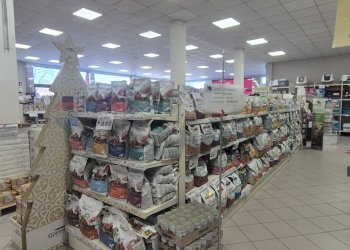 Dispensa di stoccaggio - Capannone VIA MODENA
 
267/E, Ferrara - foto 10