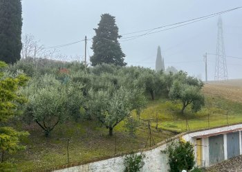 Giardino - Quadrilocale Recanati - foto 27