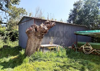 Giardino - Villa Falconara Marittima - photo 16