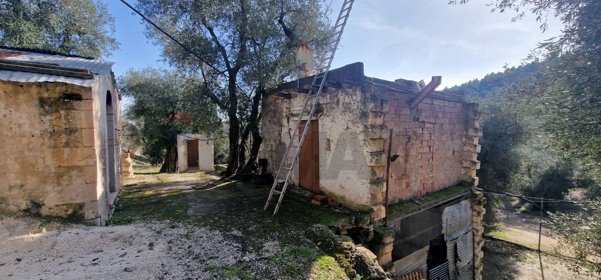 Vista delle montagne - Terreno agricolo Località Lama le Noci, Vieste - foto 2