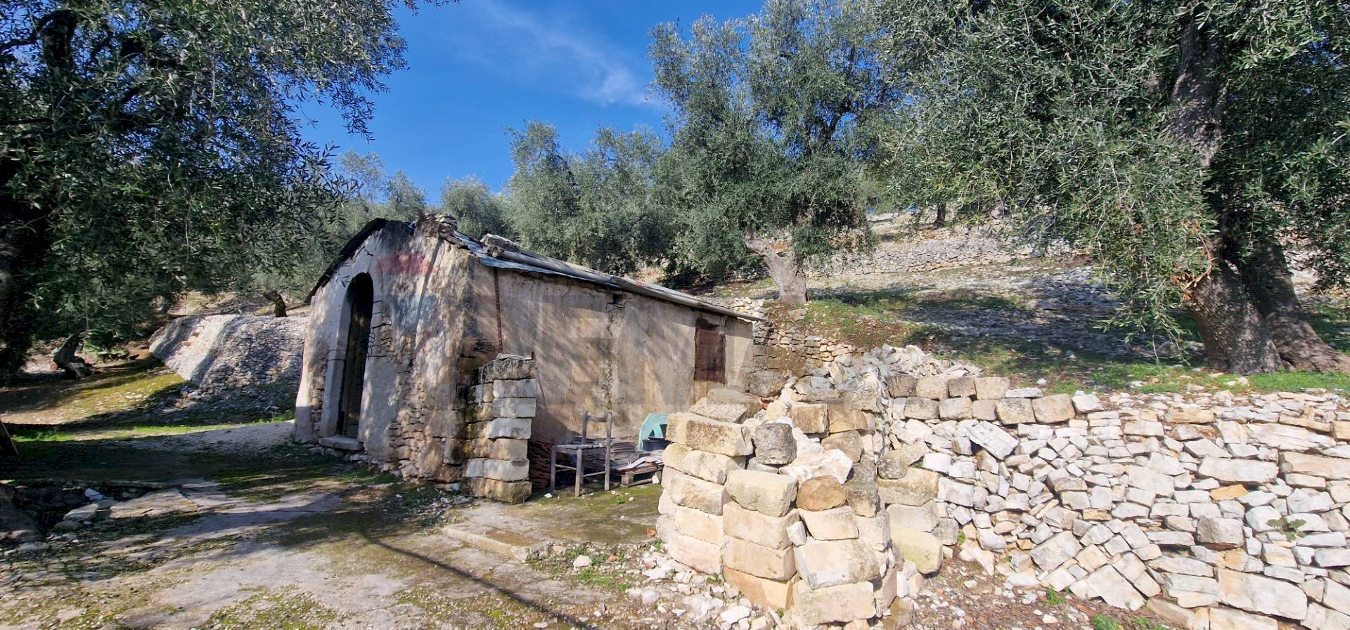Casa all\'aperto - Terreno agricolo Località Lama le Noci, Vieste - foto 3