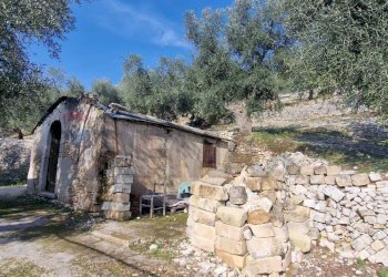 Casa all\'aperto - Terreno agricolo Località Lama le Noci, Vieste - foto 3